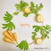 春野菜で楽しむベジタブルカービング。